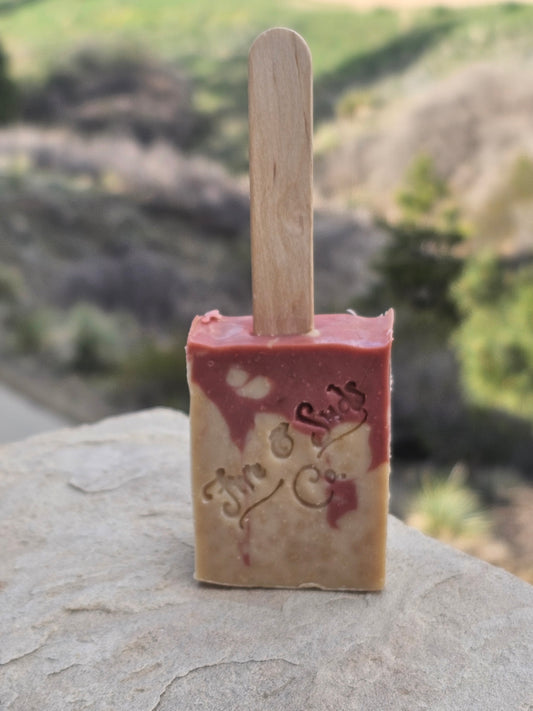 Mangonada Delight Paleta - Discounted